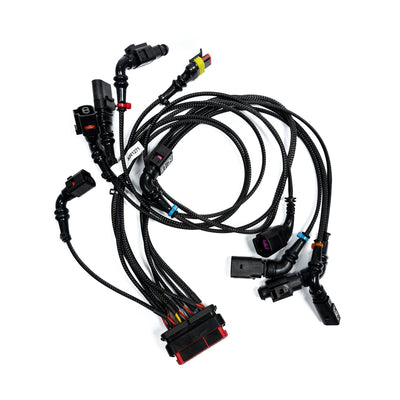 Arnés de cableado ICU 2019-2020 Race Titanium