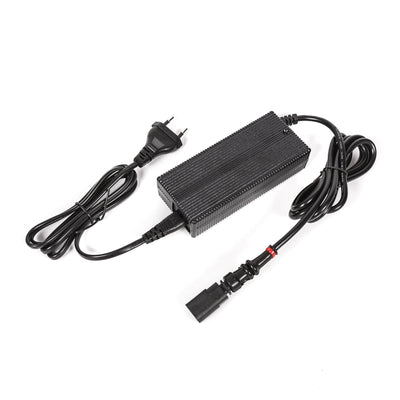 Cargador completo DFI 110V/220V SP