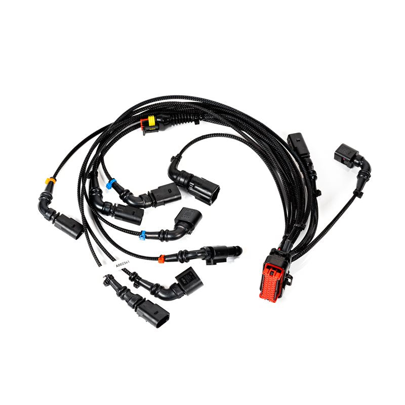 Arnés de cableado Titanium DFI 2021 Jefiis Pro